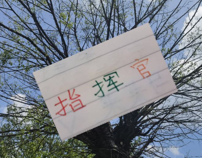 奥斯卡离开海港后，谁是中超最佳指挥官？数据表现等多方面分析