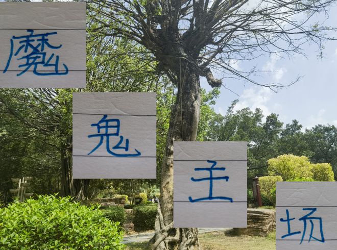 54青年节：球迷聚焦北京国安客战大连英博，林良铭主场情牵旧梦